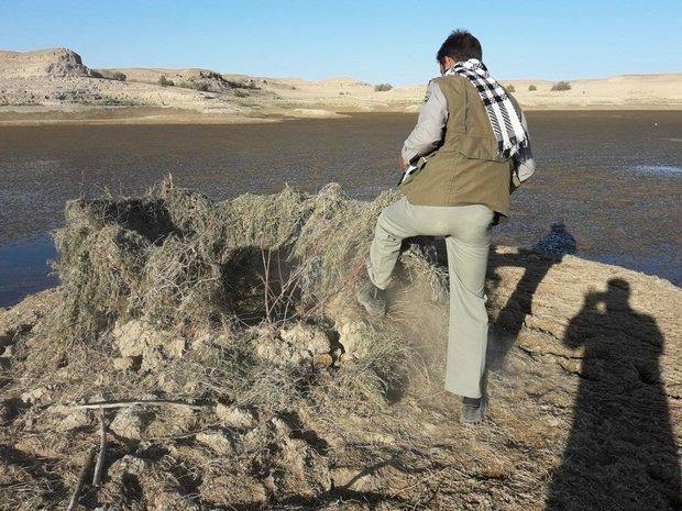 تخریب 12 کومه شکار در استان هرمزگان