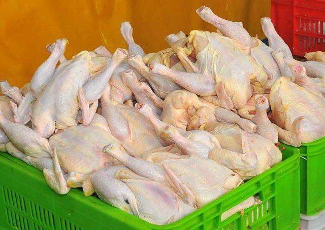 چاره کاهش قیمت مرغ افزایش فراوری است، مبنای قانونی ما قیمت اعلامی سازمان حمایت است